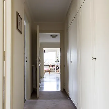 Il Papale Daire *